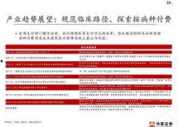 国产51页,揭秘中国科技发展的新篇章