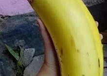 大香蕉国产情侣,甜蜜瞬间，浪漫演绎