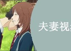 国产夫妻视频在线,私密情感的真实呈现