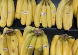 国产香蕉网,探索中国香蕉产业的魅力与未来